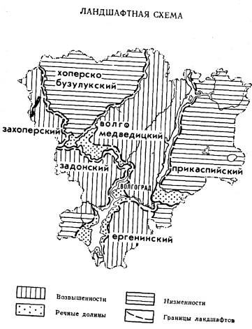 География Волгоградской области. Природные комплексы